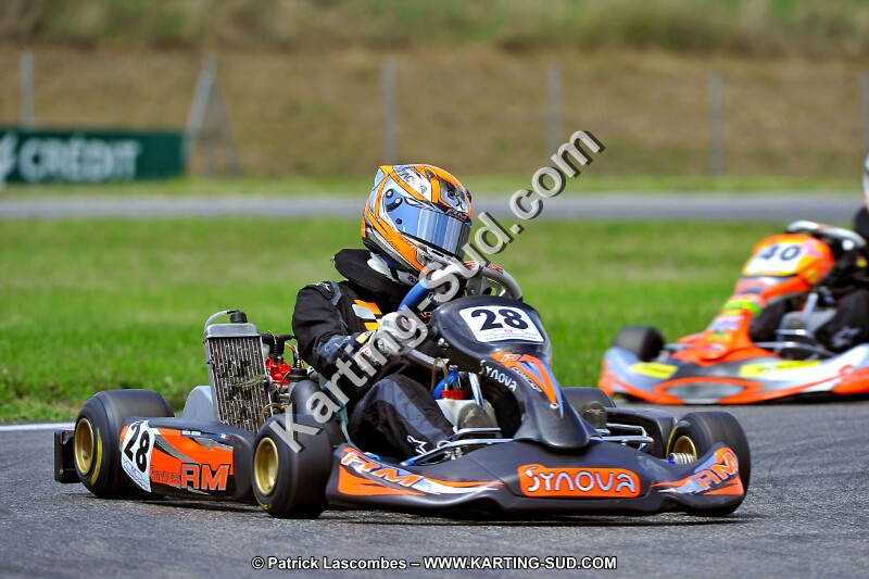 DSC_ (261).jpg